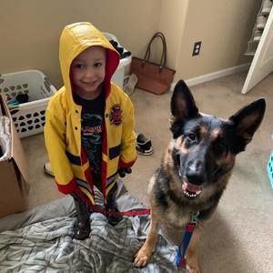 Meet your Posher, Bailey